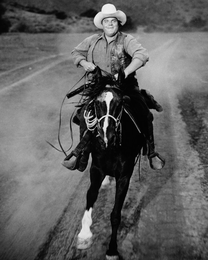 Hoss Cartwright