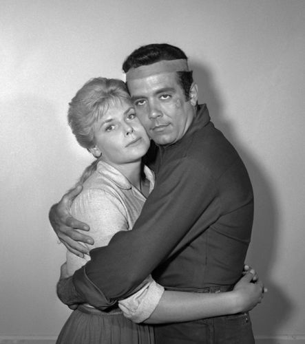 Adam Cartwright